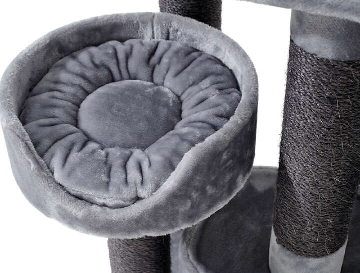 Nobby Kratzbaum Kyla